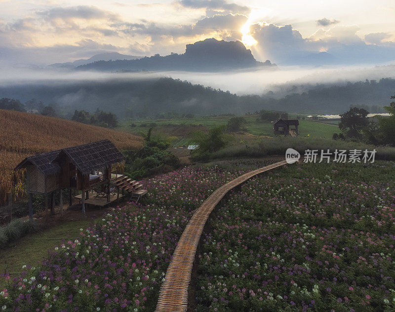 在泰国清迈省的Doi Luang Chiang Dao，日出时美丽的空中景观。